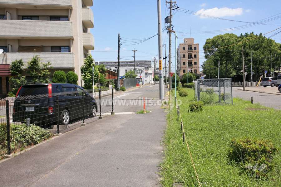 敷地東側の前面道路。