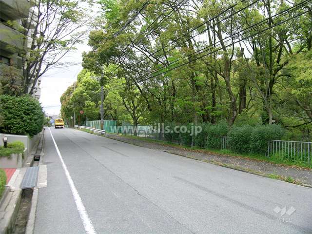 敷地の南東側は緑地になっています。