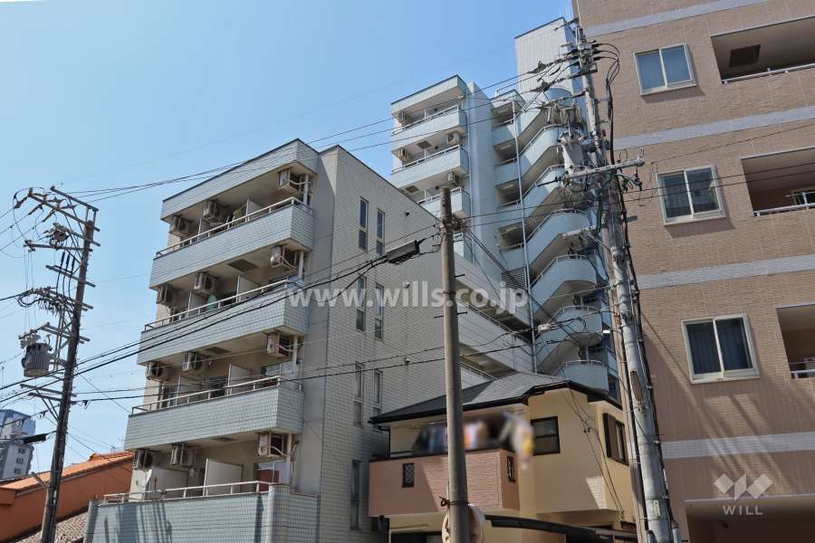 メゾンドセレブラルA棟外観(南東側から)