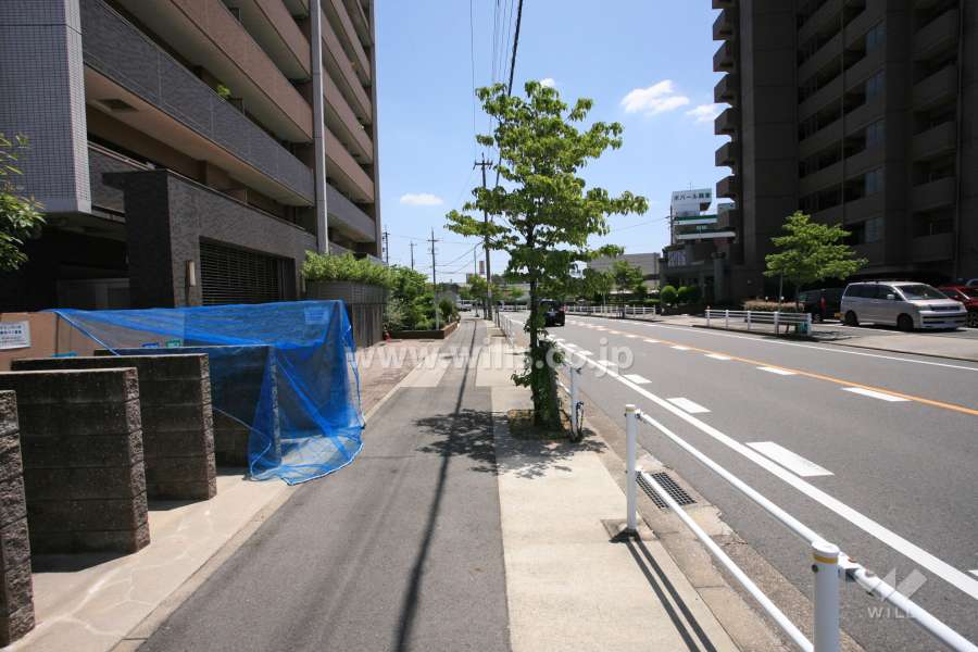 敷地南側の前面道路（正面道路）