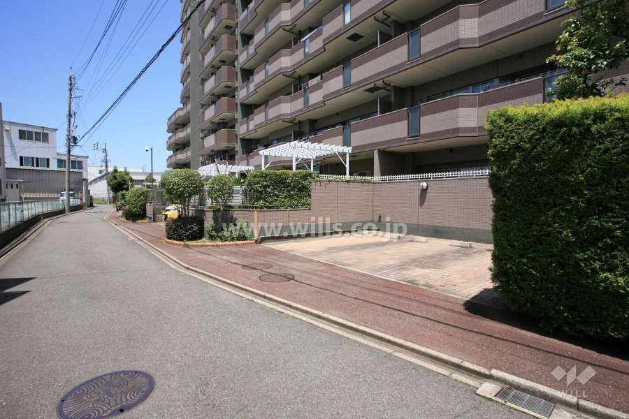 敷地南側の前面道路
