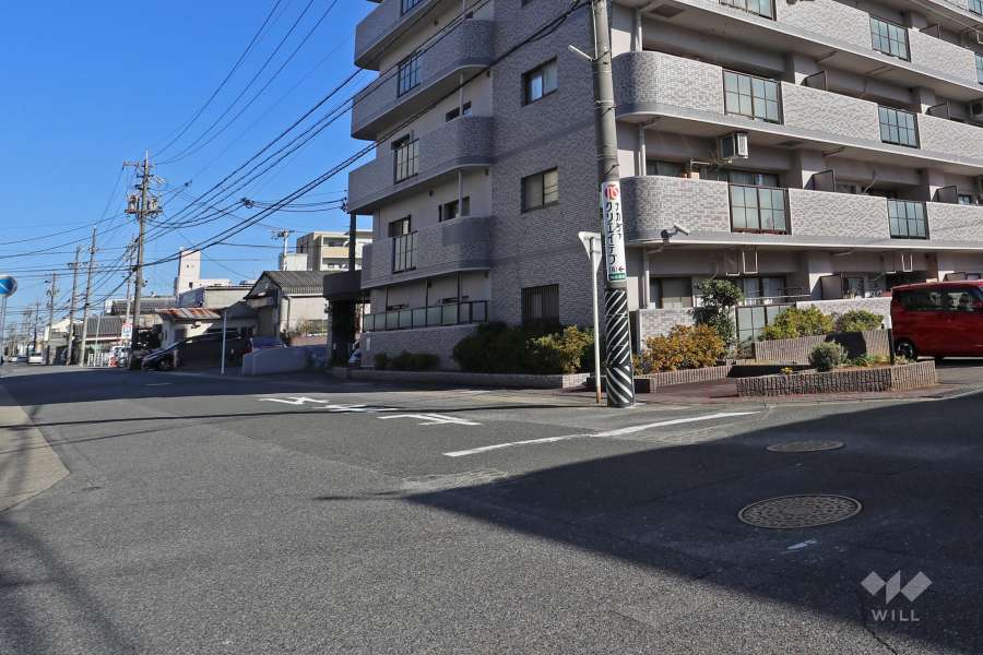 敷地西側の前面道路（南側から）
