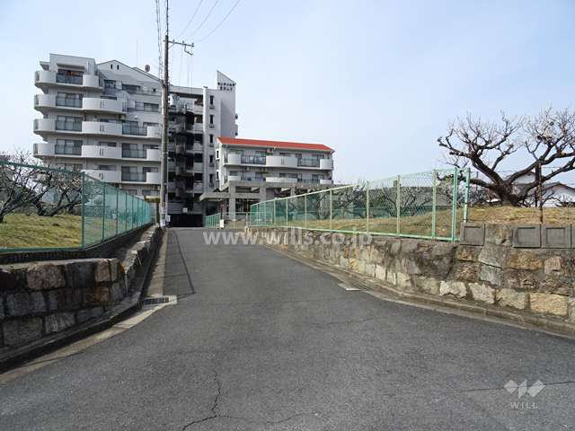 敷地東側の前面道路