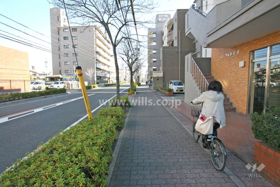 敷地北側の前面道路（西側から）
