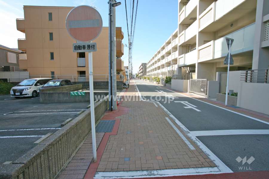 敷地北側前面道路（北東側から）