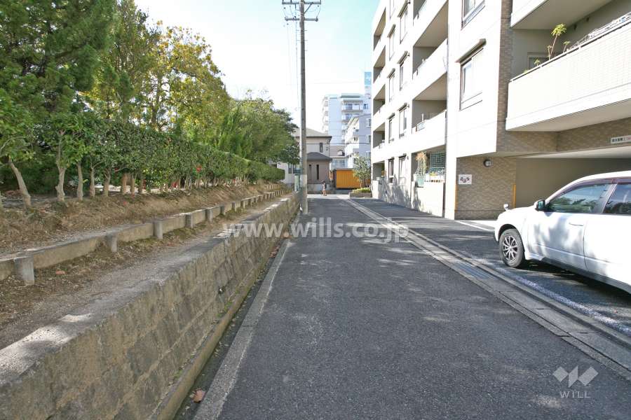 敷地南側の前面道路（東側から）