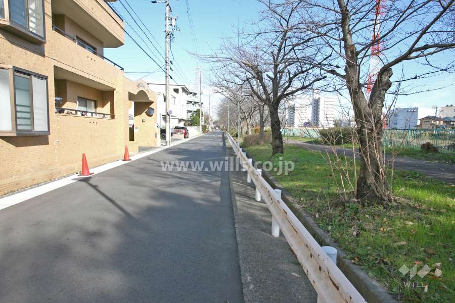 敷地東側の前面道路