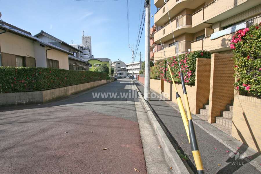 敷地西側の前面道路