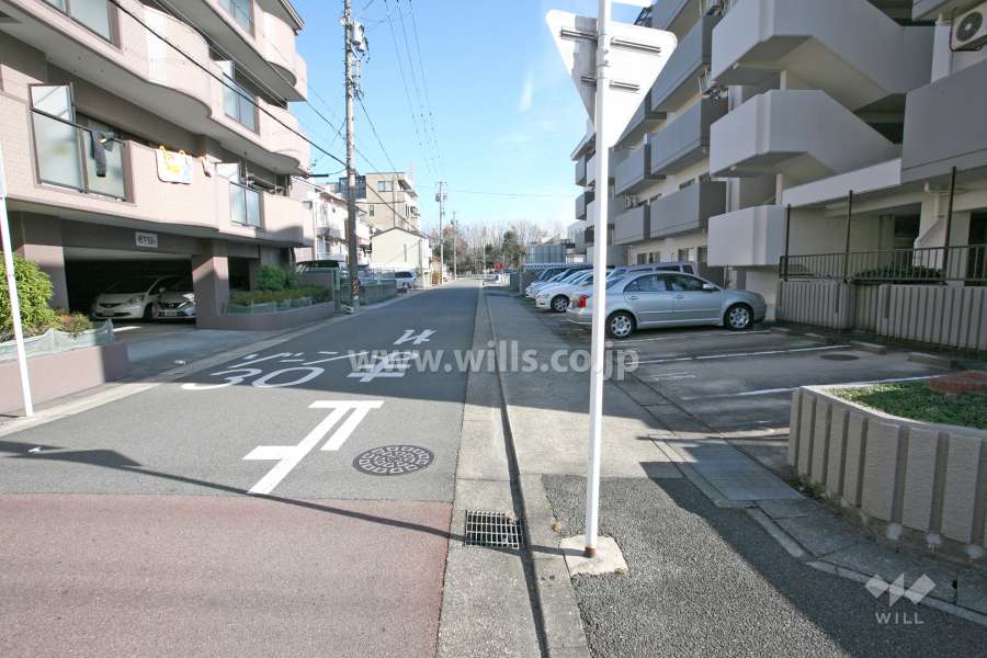 敷地北側前面道路
