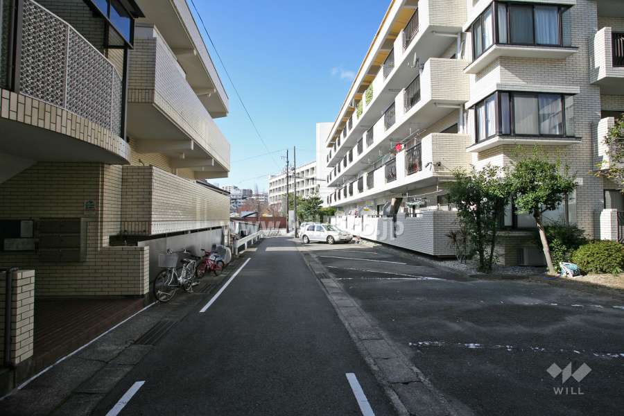 敷地南側の前面道路