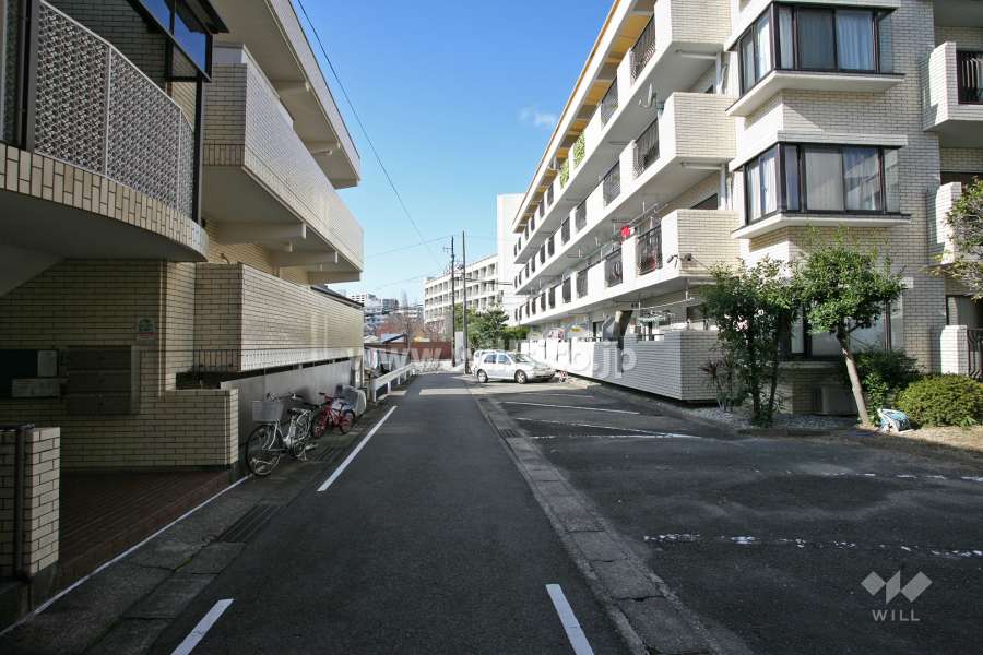 敷地北側の前面通路