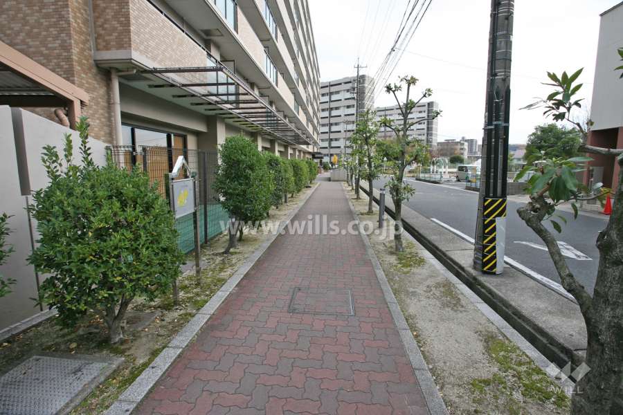 敷地南西側前面道路