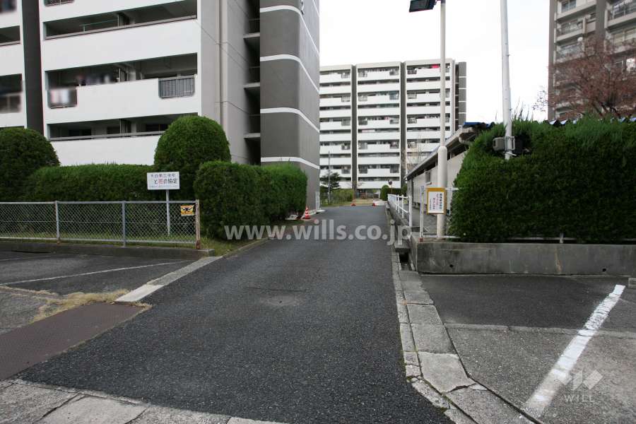 敷地東側の前面道路（南側から）