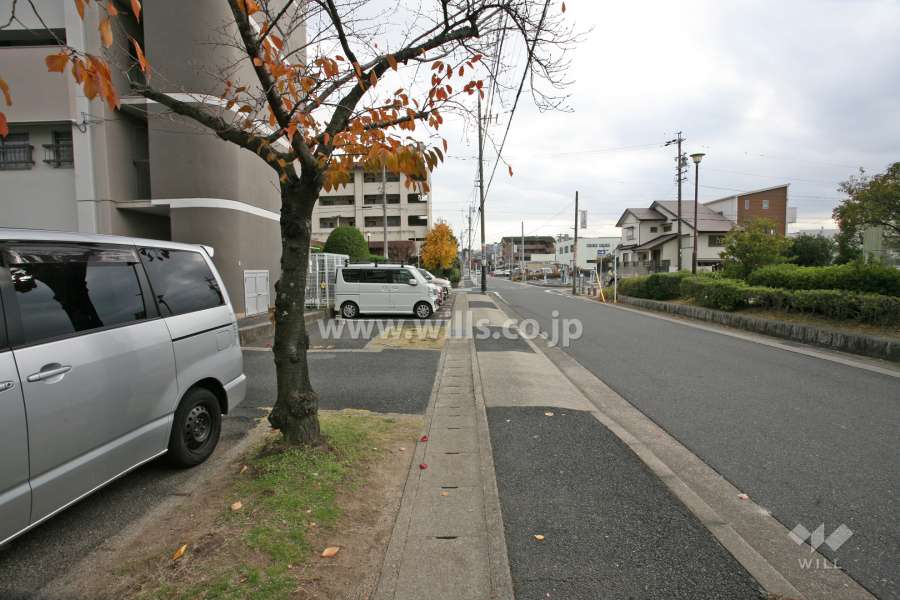 敷地西側の前面道路（北側から）