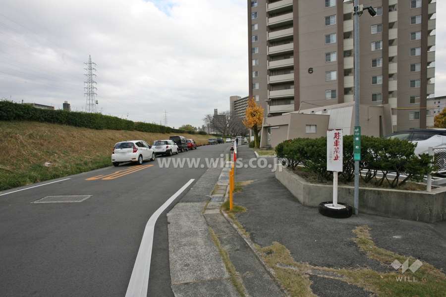 敷地北側の前面道路（西側から）