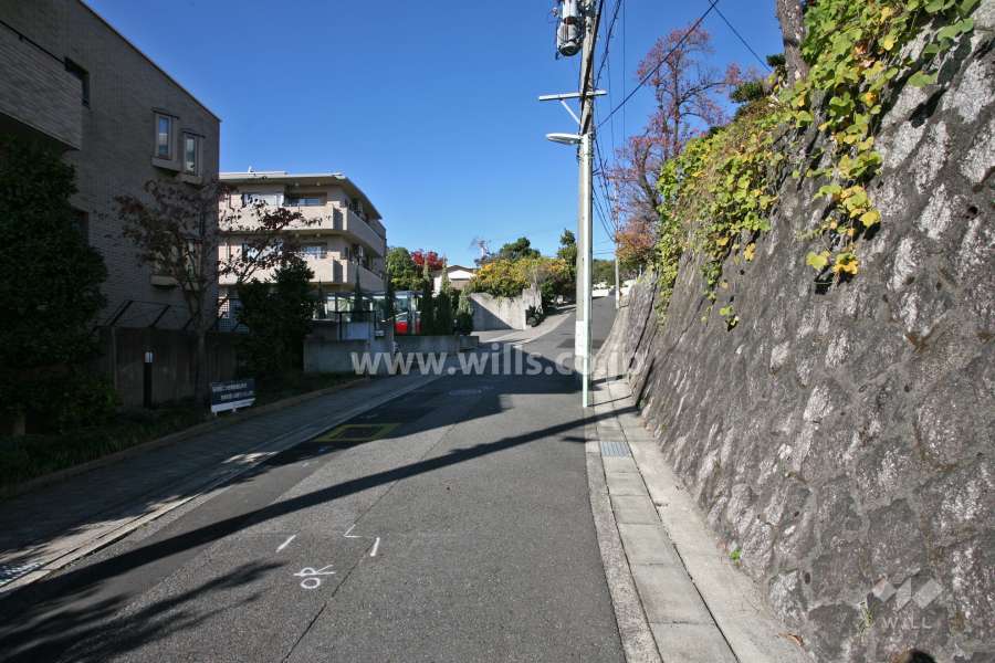 敷地東側の前面道路(南側から)