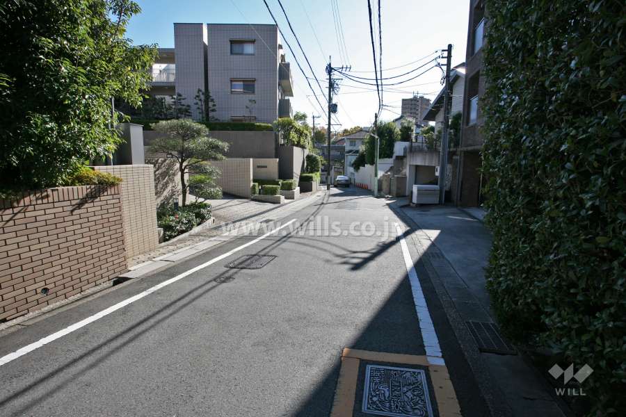 敷地西側の前面道路(北側から)