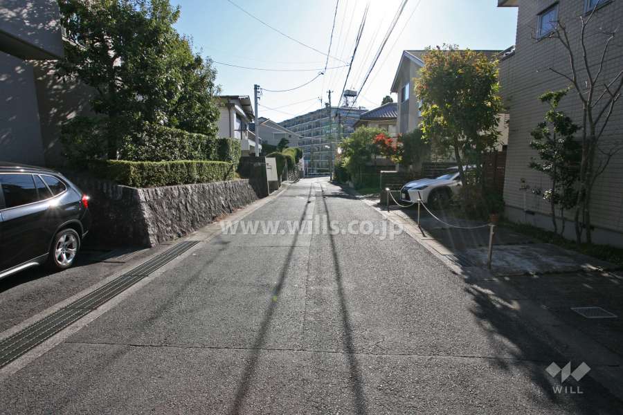 敷地西側の前面道路(北側から)