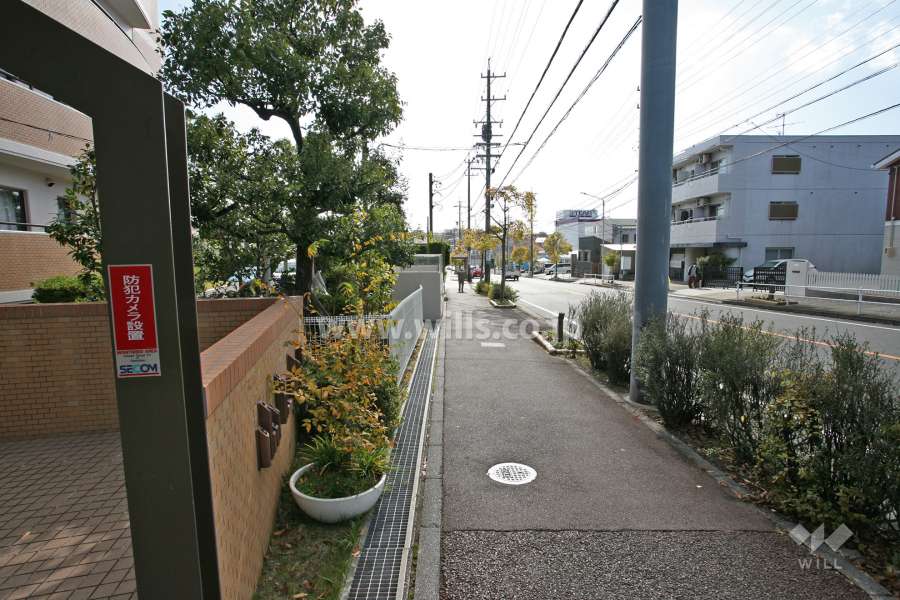 敷地前面道路