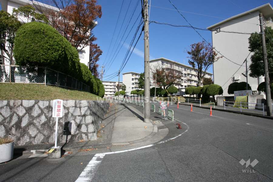 敷地西側の前面道路(南側から)