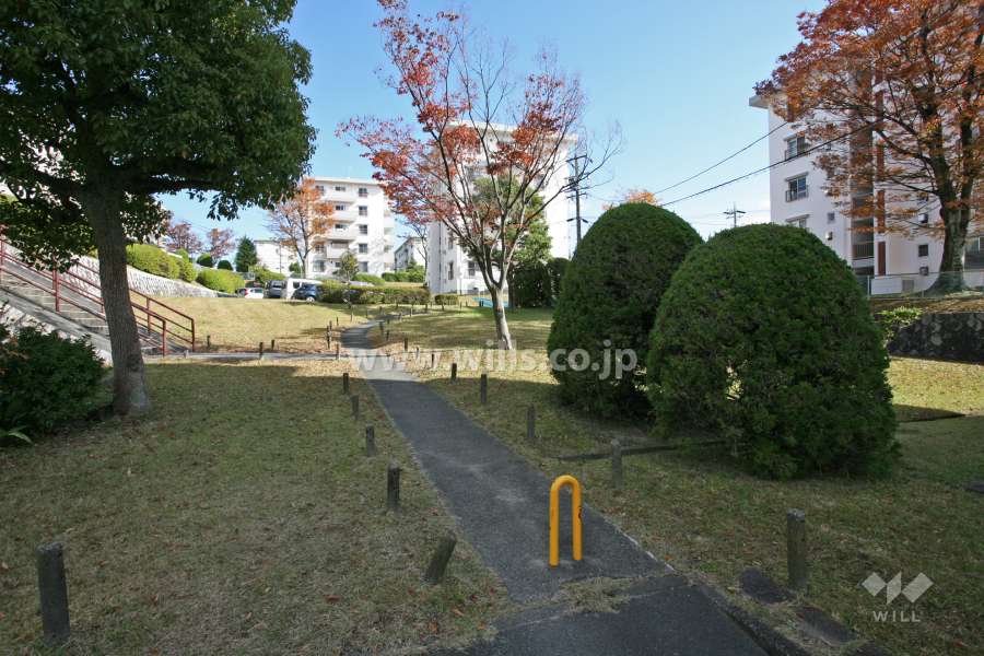 団地内の共有通路