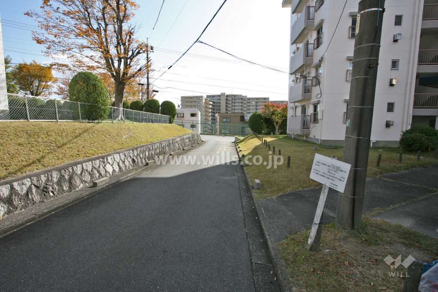 敷地西側の前面道路(北側から)