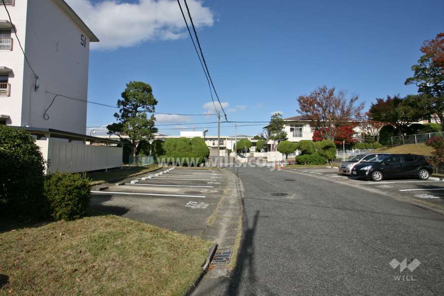 敷地東側の前面道路(北側から)