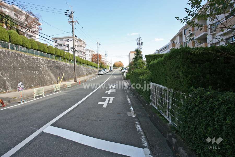 敷地北側の前面道路