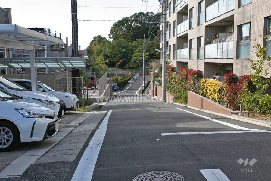 敷地南側の前面道路(東側から)