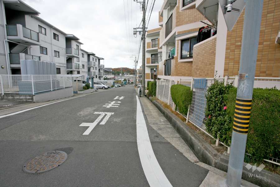 敷地南側の前面道路(東側から)
