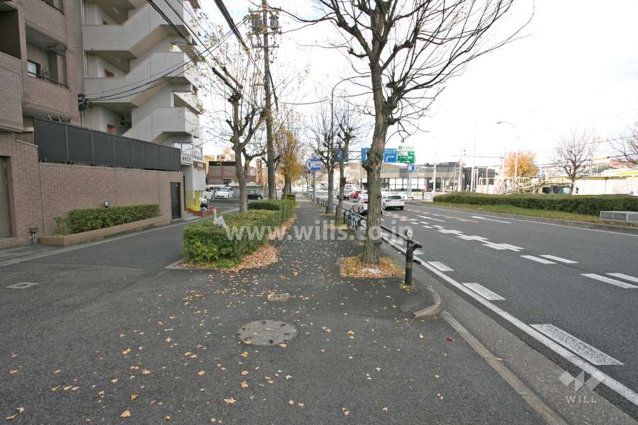 敷地北側の前面道路