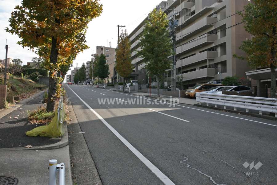 敷地北側の前面道路(西側から)
