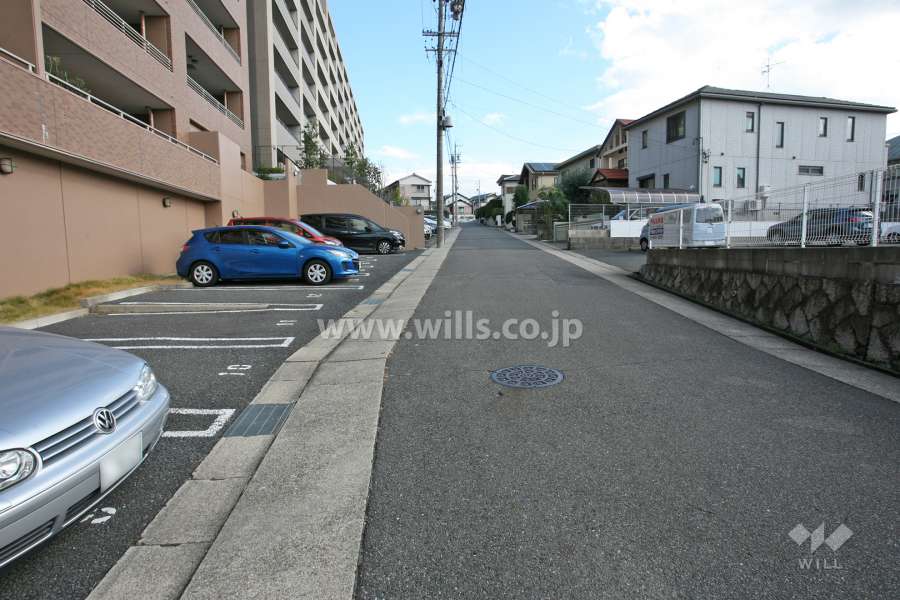 敷地南側の前面道路(西側から)
