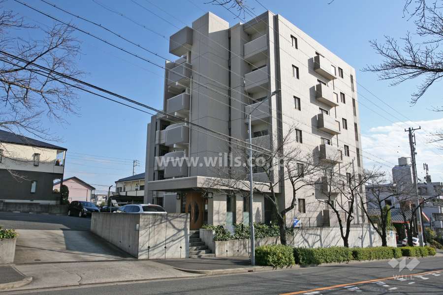 植田グランドヒルズの外観