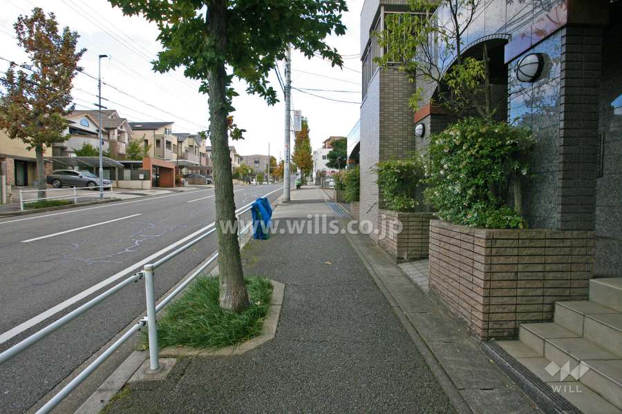 敷地北側の前面道路