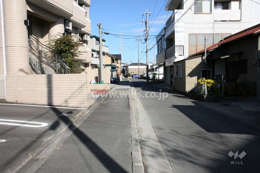 敷地南側の前面道路（西側から）