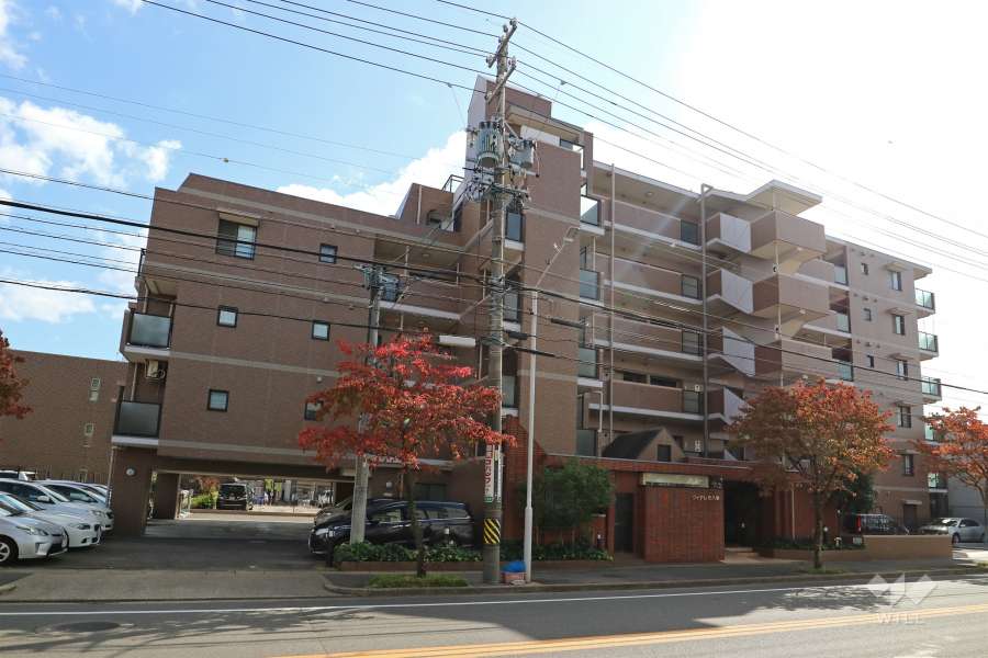 ヴィアレ元八事の外観(北側から)