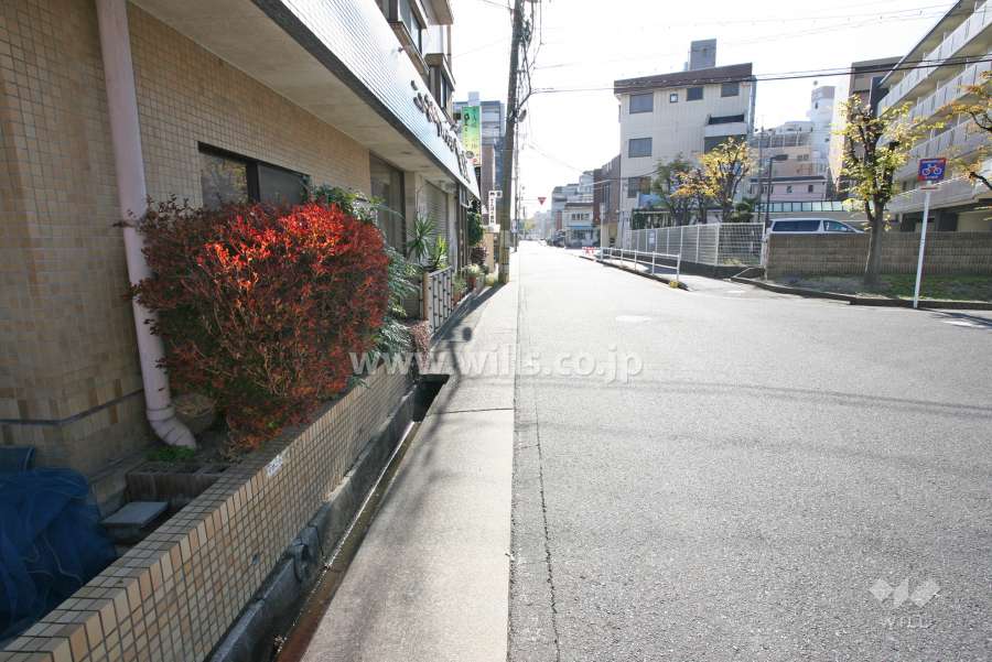 敷地前面道路