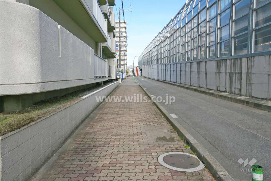 敷地東側の前面道路（南東側から）