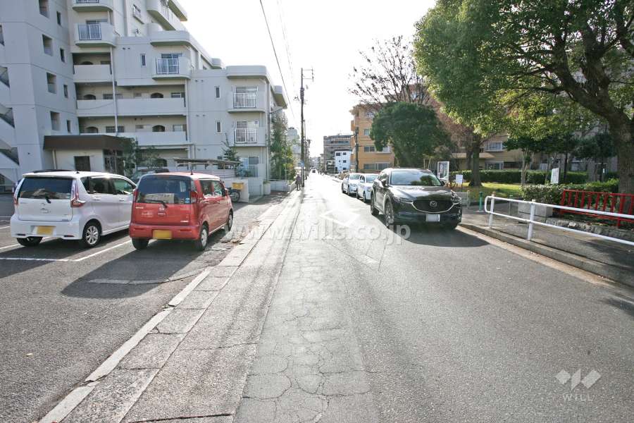 敷地西側の前面道路（北西側から）