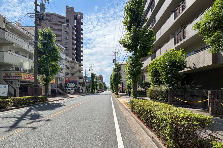 敷地南側の前面道路
