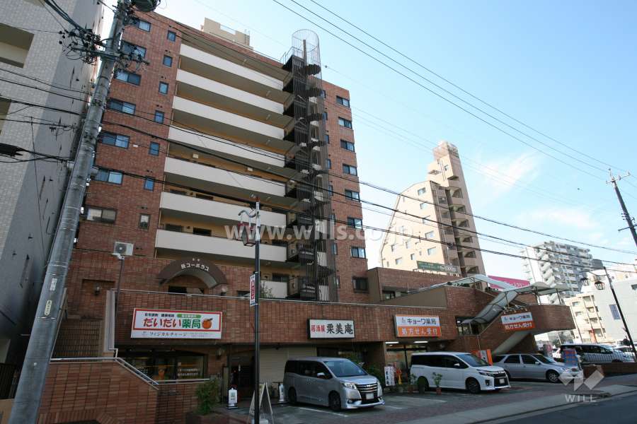 星和原コーポラスの外観（北東側から）