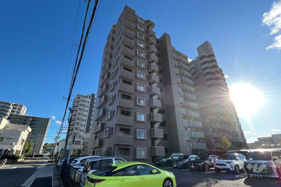 ネオステージ原の外観(北東側から)