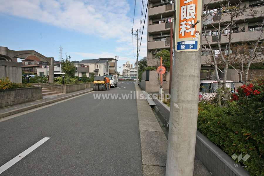 敷地西側の前面道路。突き当りには天白川が流れています。