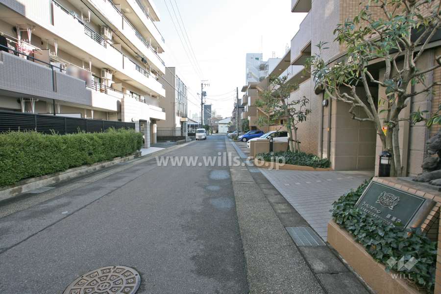 敷地前面道路