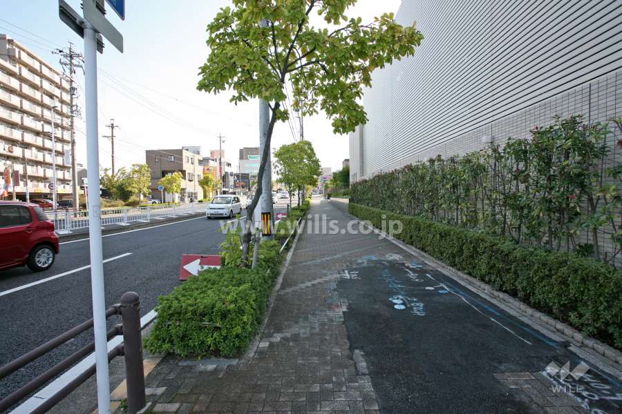 敷地の前面道路