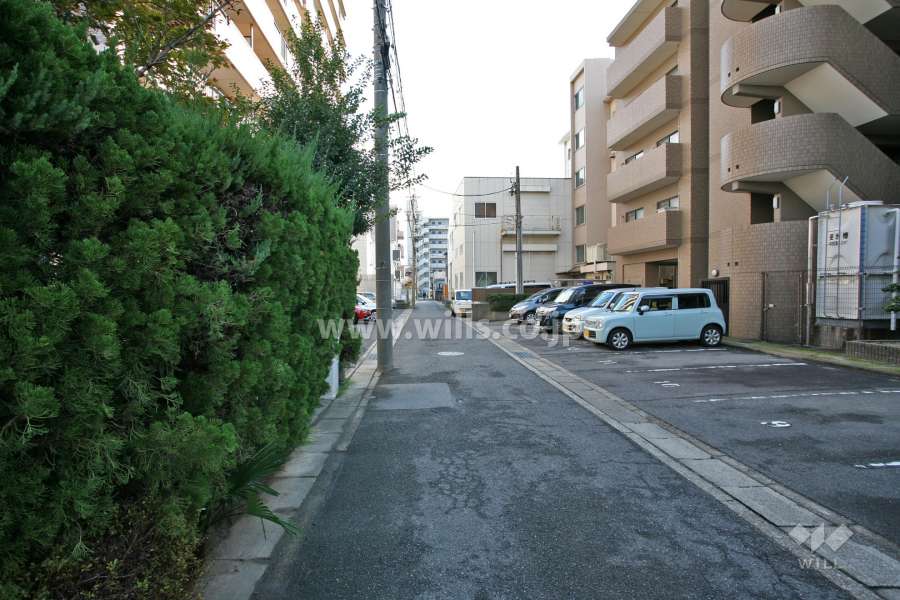 敷地北側の前面道路(西側から)