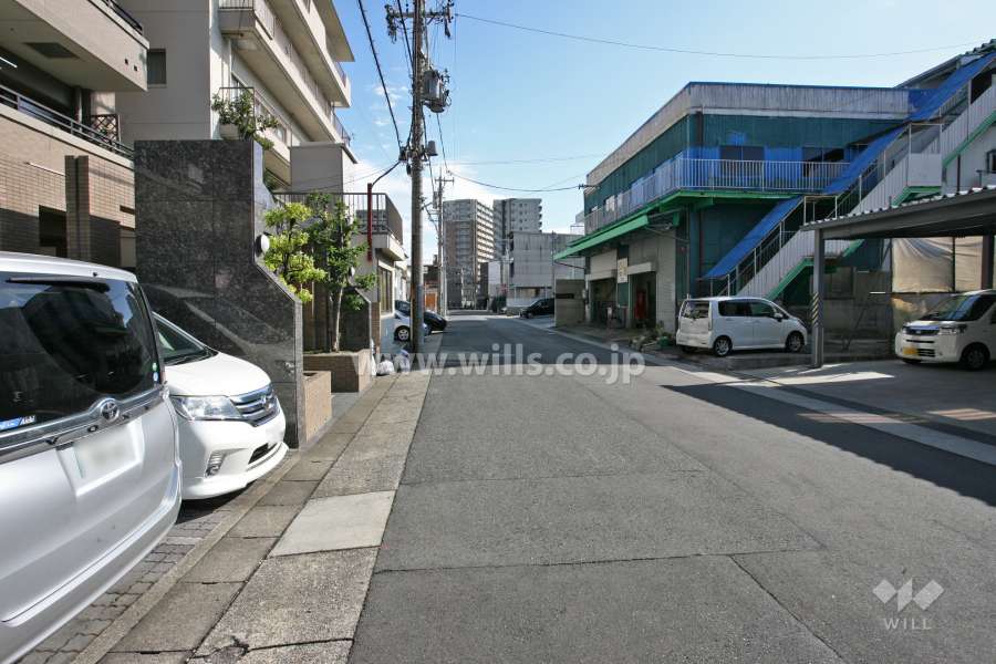 敷地南側の前面道路(西側から)