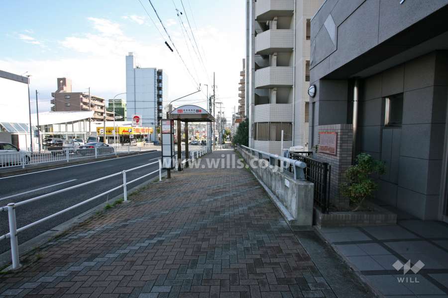 敷地の前面道路