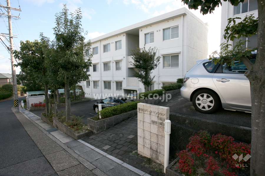 敷地前面道路
